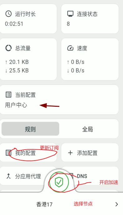 Karing加速页面